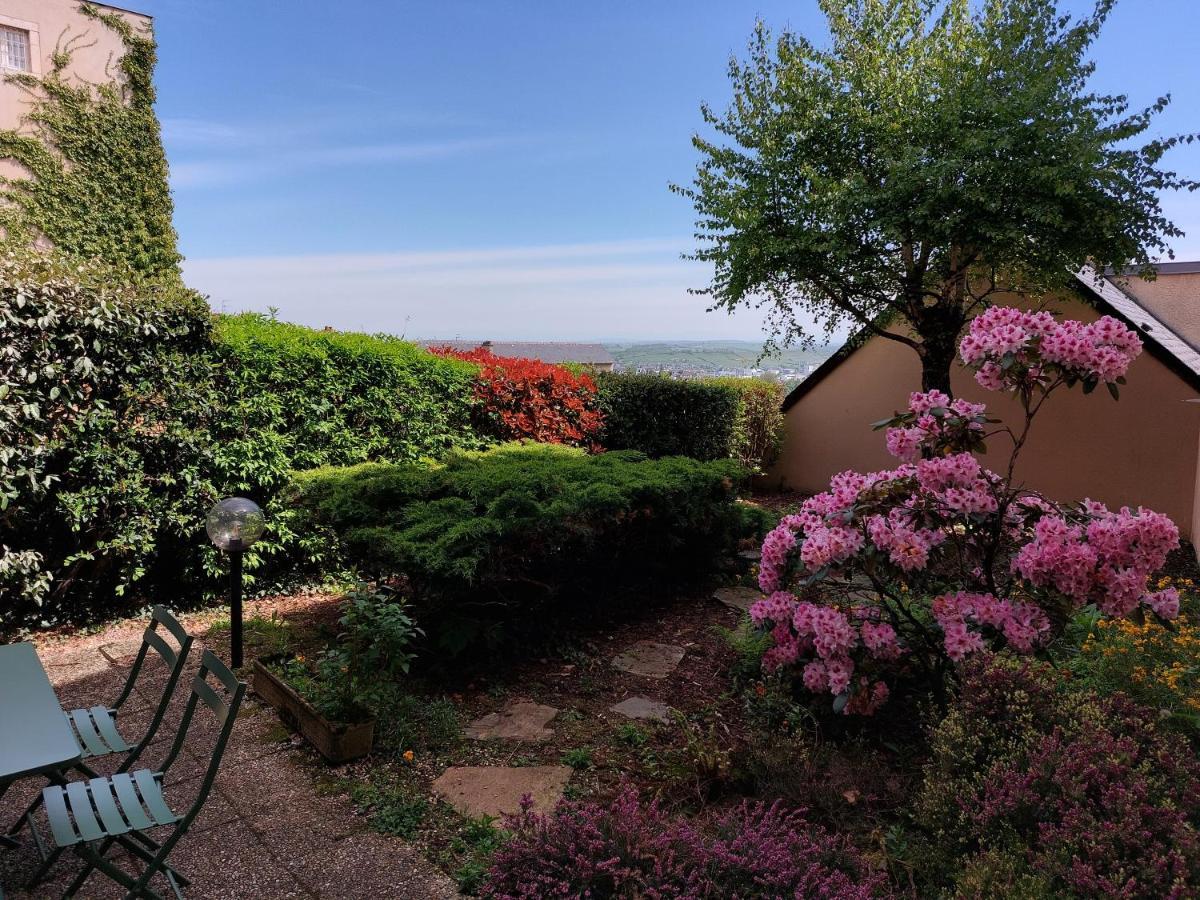 Le Denyspuech 55M2 Plein Centre Avec Jardin! Apartment Rodez Bagian luar foto
