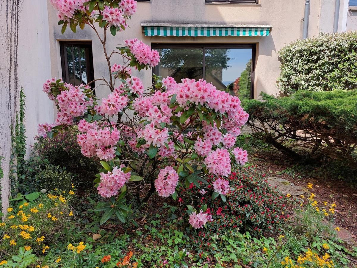 Le Denyspuech 55M2 Plein Centre Avec Jardin! Apartment Rodez Bagian luar foto
